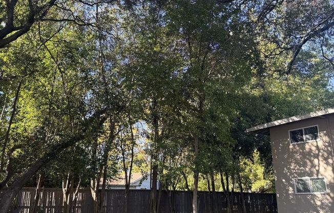 1 bed, 1 bath, 650 sqft, $1,295, Unit 5307-44