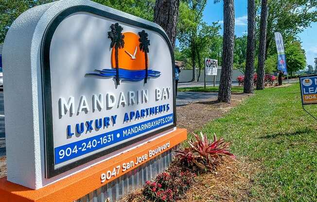 Street sign in Jacksonville, Florida that reads "Mandarin Bay Luxury Apartments" next to row of tall trees and "now leasing" sign.