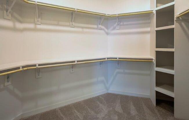 walk in closet with shelving at Brixton South Shore, Austin