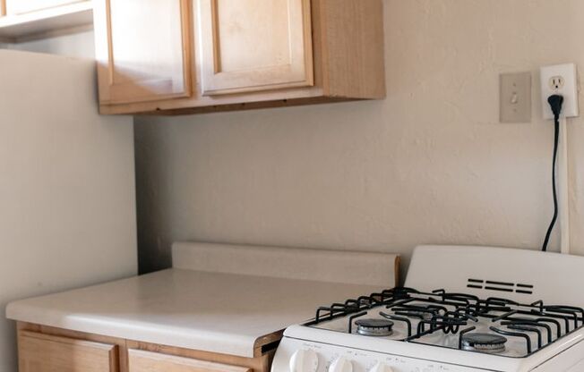 Studio, 1 bath, 461 sqft, $950, Unit 307-47