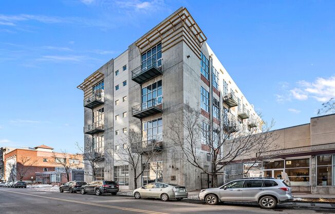 Beautiful Golden Triangle Loft!