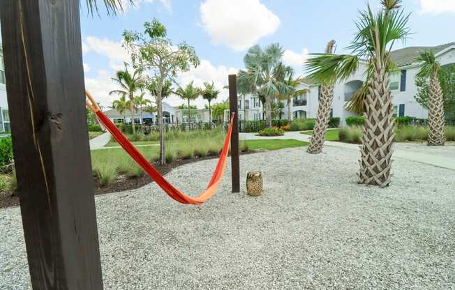 a red hammock in a gravel area with palm trees and houses in the background