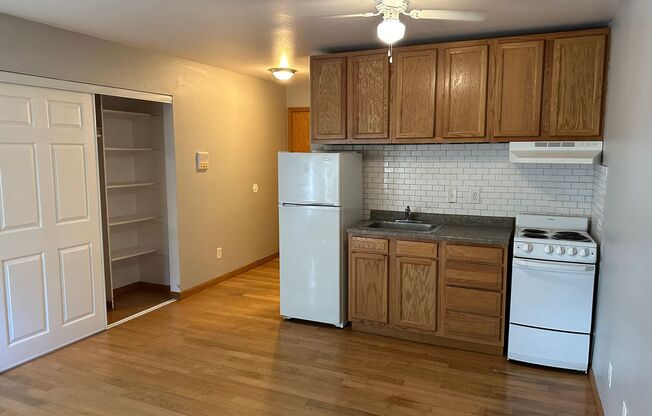 Studio, 1 bath, 350 sqft, $1,025, Unit Unit 103