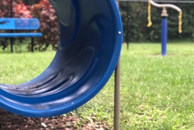 a blue slide in the grass in a park
