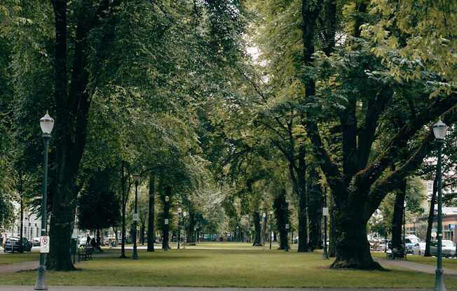 a park with green grass and trees and street lamps
