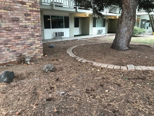 2 beds, 1 bath, 950 sqft, $1,125, Unit Unit 7