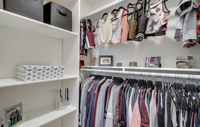 Abundant Storage Including Walk-In Closets at Park Merridy, California, 91325