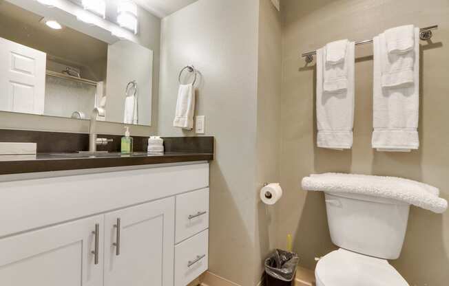 Bathroom with single vanity, track lights in the mirror, gray quartz countertops