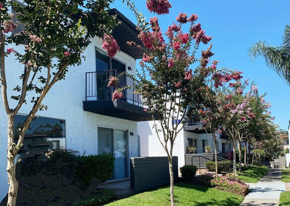 a sidewalk in front of an apartment building with flowering trees at Latitude Apartments at Mission Valley, San Diego, CA