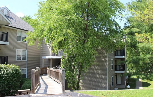 Shade Trees at apartment complex