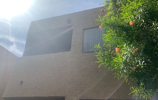 1 bed, 1 bath, 670 sqft, $1,250, Unit 225