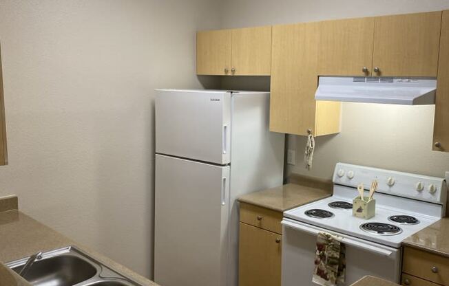 a kitchen with a stove refrigerator and a sink