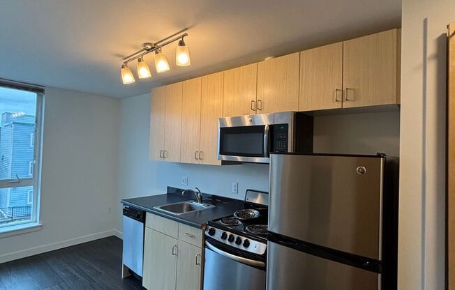 Studio, 1 bath, 262 sqft, $1,350, Unit 203