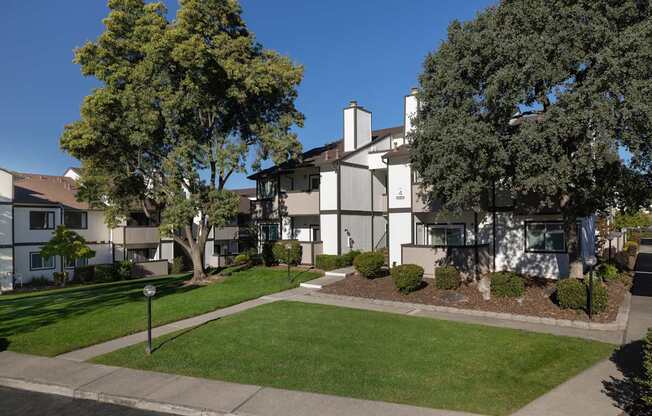 A tree in front of a building.