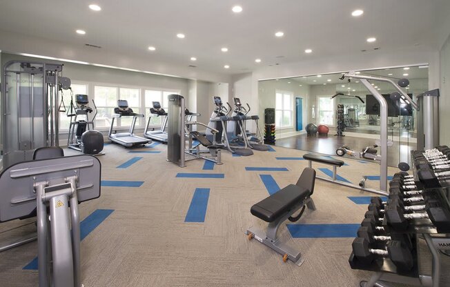 Professional fitness studio with free weights