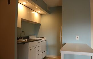 Studio, 1 bath, 520 sqft, $800, Unit 315