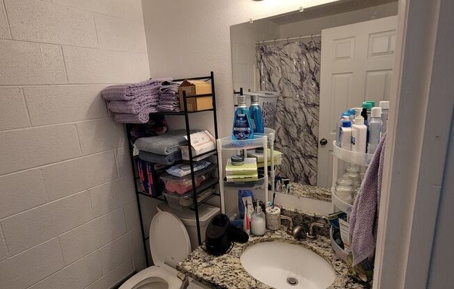 Studio, 1 bath, $1,065, Unit 113