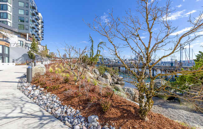 a view of a river from Marina Square Apartments with a bridge in the background and trees in the foreground at Marina Square, Bremerton, Washington 98337