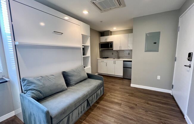 Studio, 1 bath, 258 sqft, $1,695, Unit 435-315