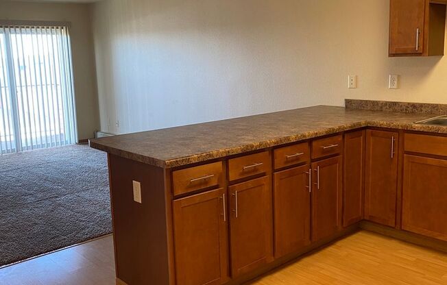 1 bed, 1 bath, 702 sqft, $955, Unit 5130-207