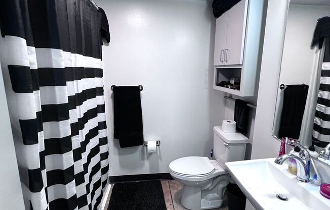 Studio, 1 bath, $1,150, Unit 302