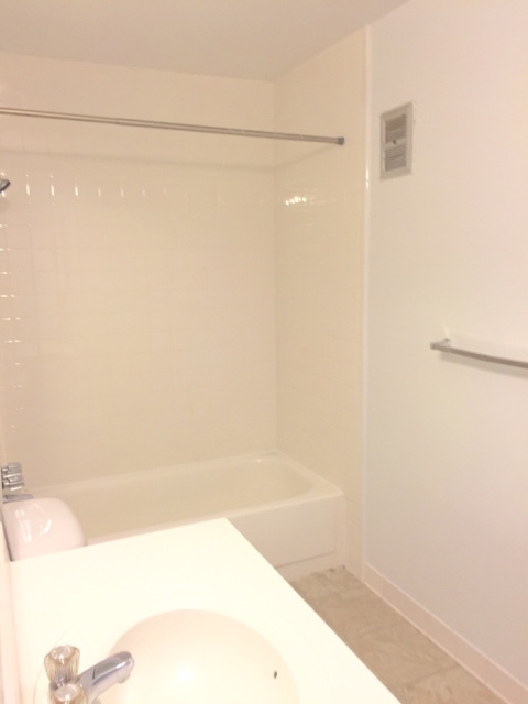 1 bed, 1 bath, 700 sqft, $1,095, Unit #101