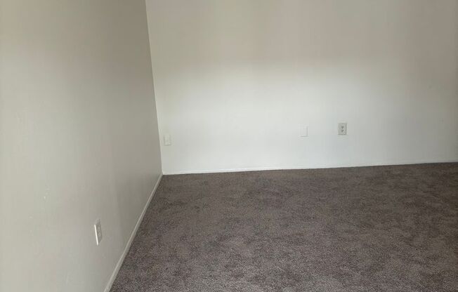 Baywatch Apartments- Five Minutes Driving from USF