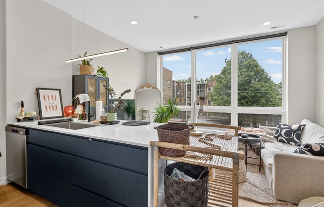 Studio, 1 bath, 534 sqft, $2,300, Unit 3449-413