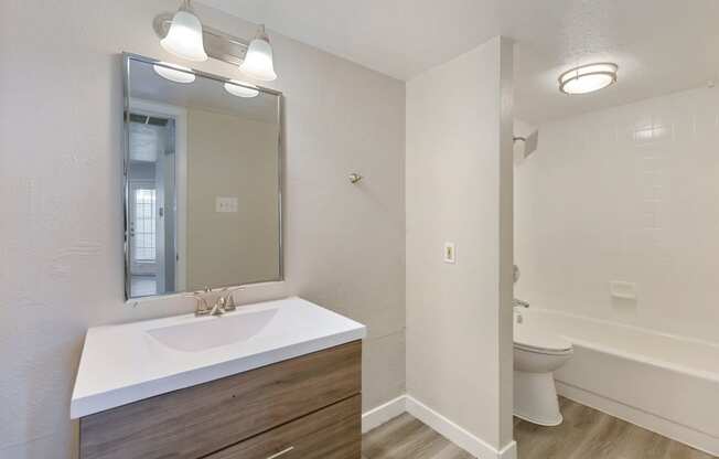 a bathroom with a sink and a toilet