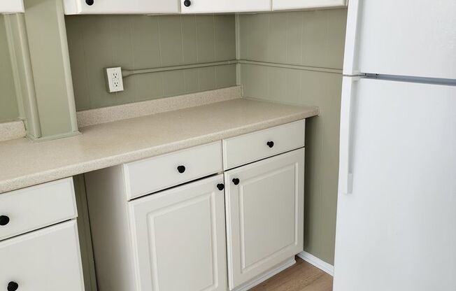316 Upper College Terrace, Frederick, MD 21701
