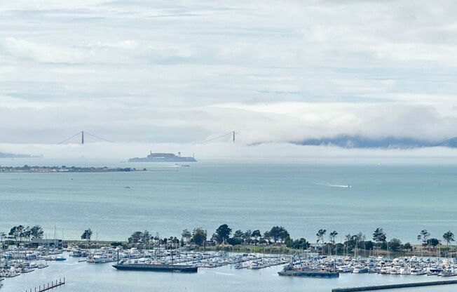 GORGEOUS Views from the 29th Floor in this Remodeled Penthouse.