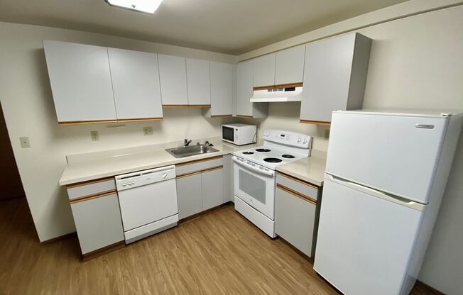 Studio, 1 bath, 413 sqft, $1,295, Unit 316