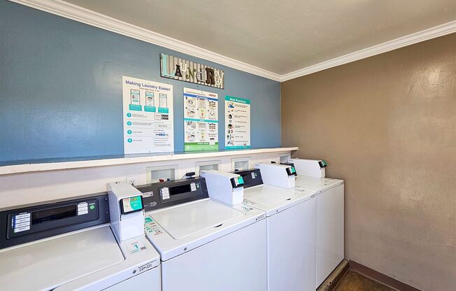 Studio, 1 bath, $1,495, Unit 41