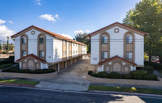 Citrus Ave - 810 - GOLD