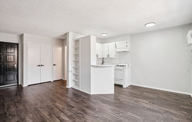 Studio, 1 bath, 495 sqft, $1,498, Unit 103