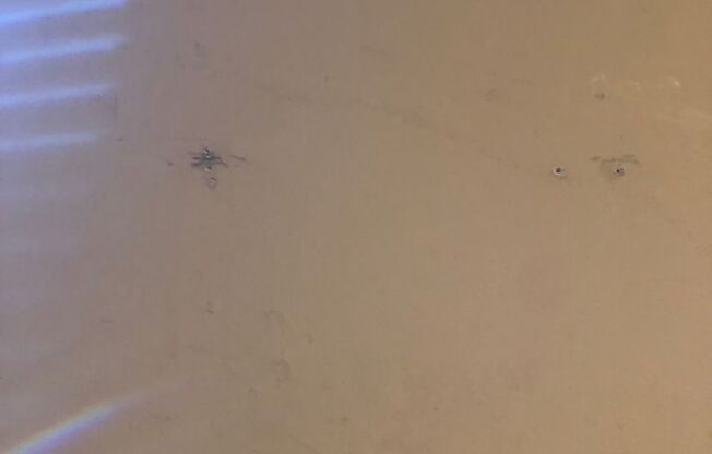 3 beds, 1.5 baths, 1,480 sqft, $1,575, Unit WC-1