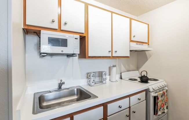 Vivo Living Charlotte University