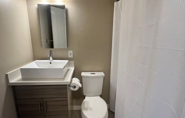 Studio, 1 bath, 300 sqft, $1,295, Unit 209