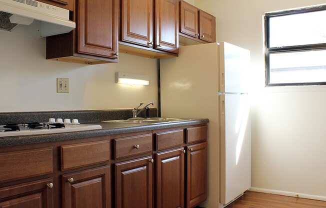 Apartment Kitchen with Cabinet Space