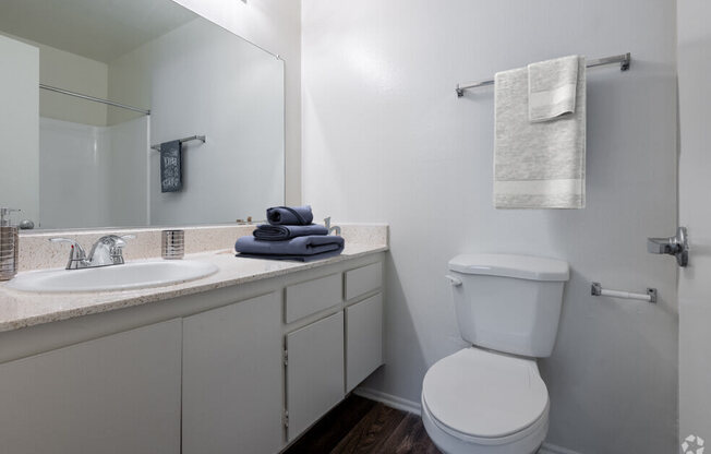 a bathroom with a sink toilet and a mirror