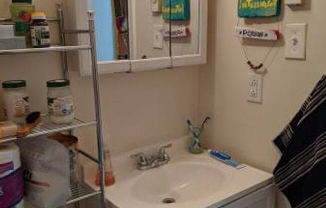 Studio, 1 bath, $1,129, Unit B07