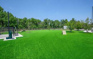 a group of lawn chairs sitting on top of a lush green field