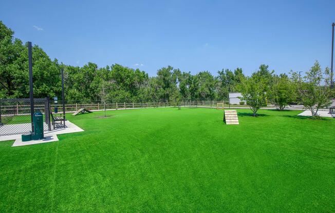 a group of lawn chairs sitting on top of a lush green field