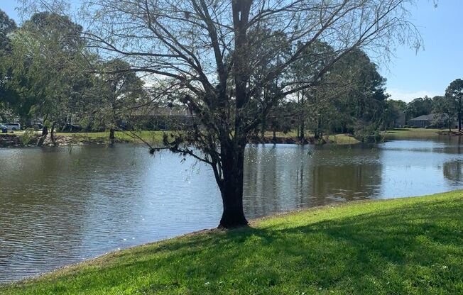 3/2 Pool Home in Manderley Run