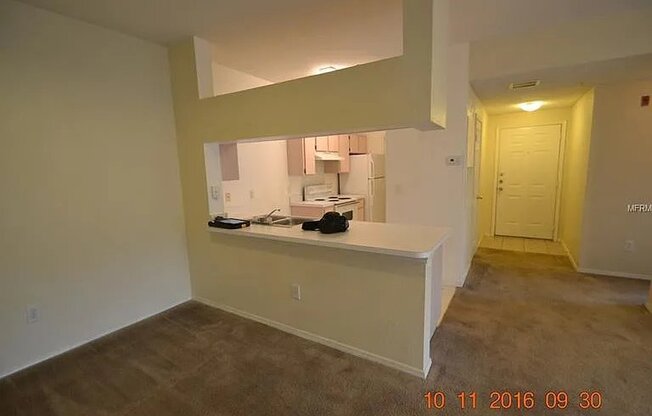 13205 SANCTUARY CV DR