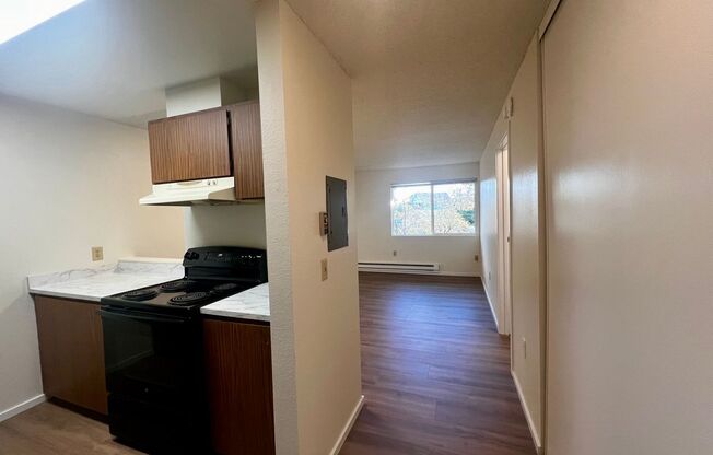 1 bed, 1 bath, 500 sqft, $1,200, Unit 204