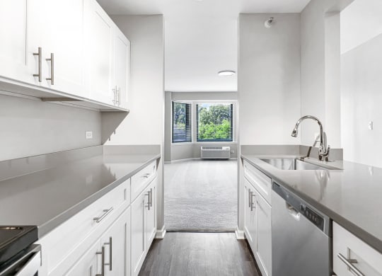 Ample Countertop Space In Kitchens At Iroquois Club Apartments In Naperville, IL