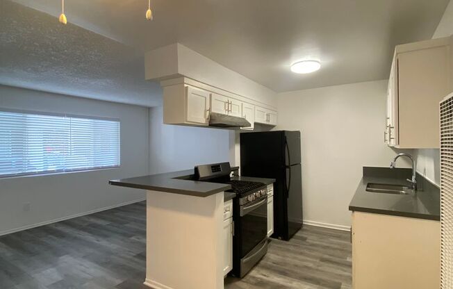 1 bed, 1 bath, 535 sqft, $1,895, Unit 1019-04