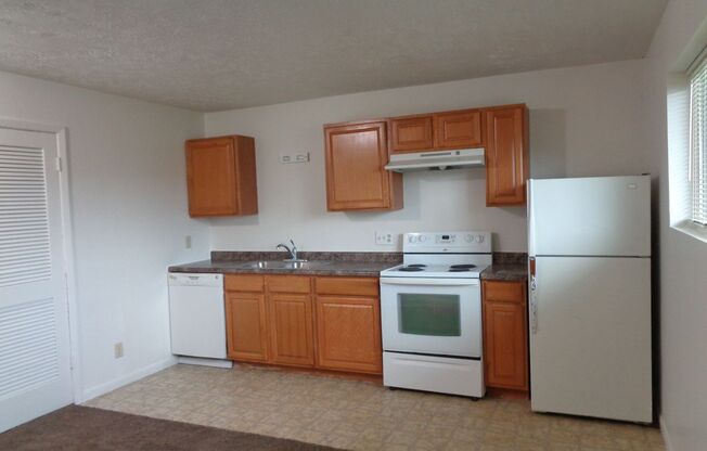 1 bed, 1 bath, 450 sqft, $650, Unit 1