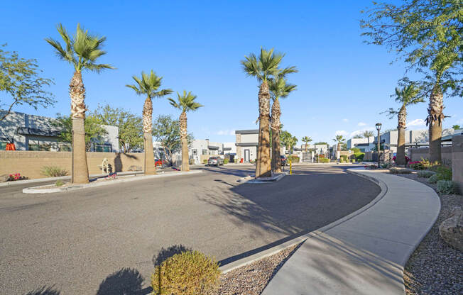 a street with palm trees on the side of a road